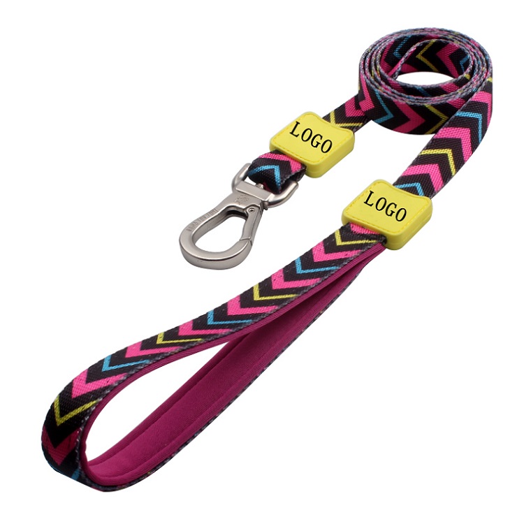 Amazon Hot Sale Newest Shiny Polyester Custom Rubber LOGO Fashionable Dog Leash